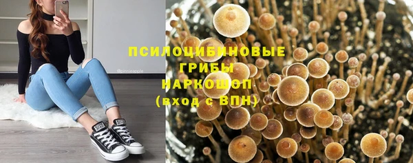амфетамин Алексин