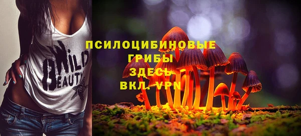 стафф Алексеевка