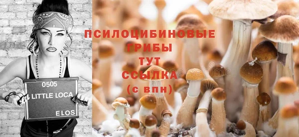 амфетамин Алексин