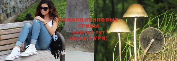 стаф Алзамай