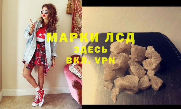 стаф Алзамай
