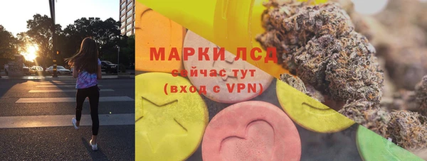 стаф Алзамай