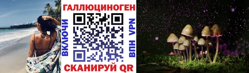 Псилоцибиновые грибы Psilocybe  Нерехта 